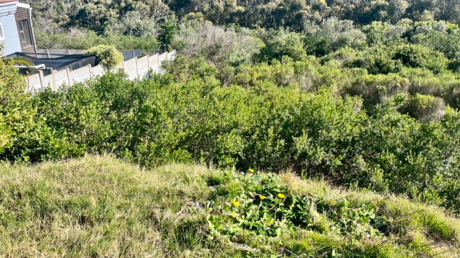 Commercial Property for Sale in Pienaarstrand Western Cape